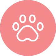 pelo-de-mascota