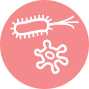 bacterias
